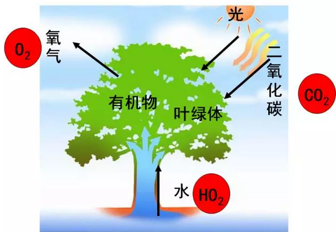 水肥一體化